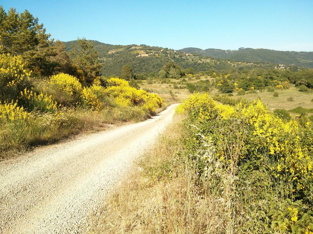 Forte Di Tregognano Chiaveretto Oda fotoğraf